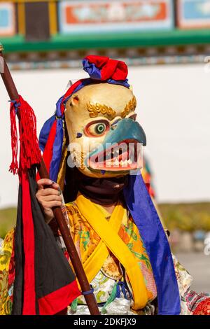 Gangtok, Indien - 23. Dezember 2011: Nicht identifizierter Mönch in Garuda Maske mit Speer führt religiösen Mysterientanz des tibetischen Buddhismus während der Cham D. Stockfoto