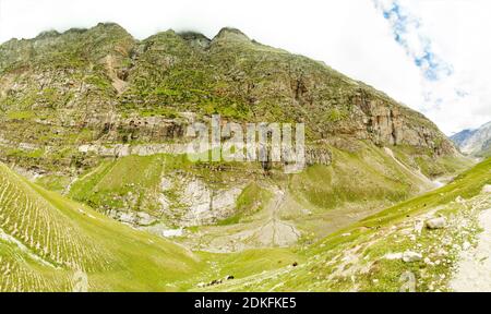 Das Tal des Chenab Flusses im Himalaya. Ein mit Wäldern bewachsenes Gebirge, entlang dessen Bäche abfließen. Weide und Weide Kühe unten. Stockfoto