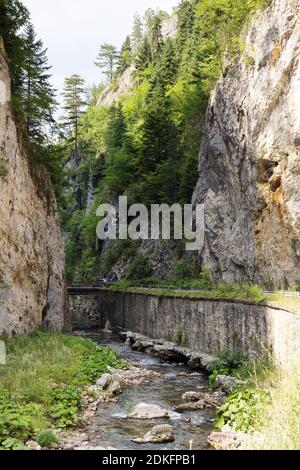 Schmale Motorstraße entlang eines Gebirgsflusses in der Schlucht der Rhodopen, reichlich überwuchert mit Laub- und immergrünen Wäldern an sonnigen Summ Stockfoto