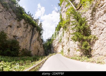 Schmale Motorstraße entlang eines Gebirgsflusses in der Schlucht der Rhodopen, reichlich überwuchert mit Laub- und immergrünen Wäldern an sonnigen Summ Stockfoto