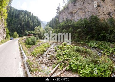 Schmale Motorstraße entlang eines Gebirgsflusses in der Schlucht der Rhodopen, reichlich überwuchert mit Laub- und immergrünen Wäldern an sonnigen Summ Stockfoto