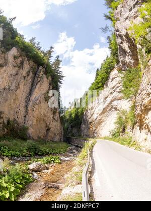 Schmale Motorstraße entlang eines Gebirgsflusses in der Schlucht der Rhodopen, reichlich überwuchert mit Laub- und immergrünen Wäldern an sonnigen Summ Stockfoto