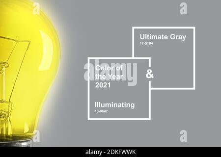 Halb leuchtende Glühbirne auf dem grauen Hintergrund. Farben des Jahres 2021. Stockfoto