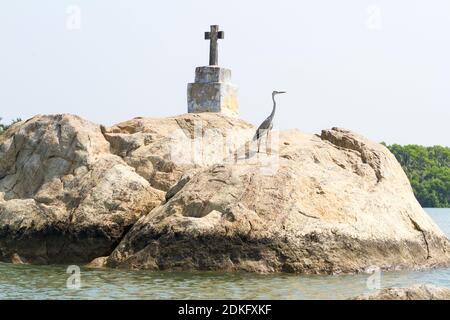 Der christliche Kreuz- und Reihervogel auf den kleinen Felseninseln in Kerala Backwaters, Südindien. Stockfoto