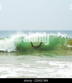 Schwimmer in einer lustigen kopfüber-down Pose, taucht unter dem Meer schaumig Wellen des Arabischen Meeres an einem sonnigen Tag (Kerala, Indien) Stockfoto