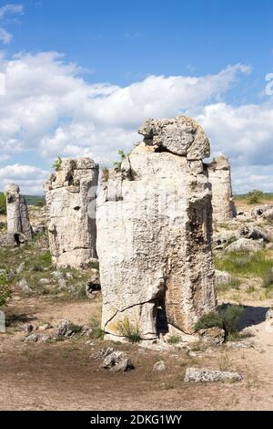 Eingeschagenen Kamani (Menhire, Steinwald) einzigartige Naturstein Phänomen, Varna, Bulgarien Stockfoto