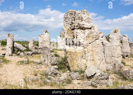 Eingeschagenen Kamani (Menhire, Steinwald) einzigartige Naturstein Phänomen, Varna, Bulgarien Stockfoto