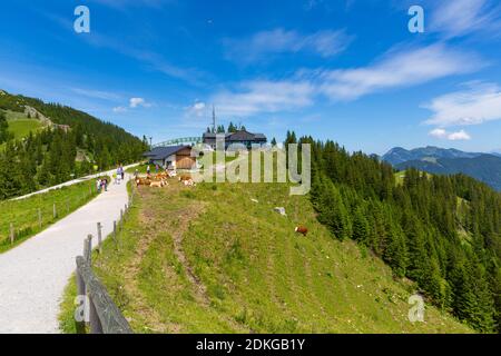 Wallbergbahn Bergstation, Wallberg, Rottach-Egern, Tegernsee, Bayerische Alpen, Bayern, Deutschland, Europa Stockfoto