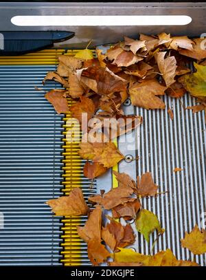 Essen, Ruhrgebiet, Nordrhein-Westfalen, Deutschland - farbenfrohe Herbstblätter liegen auf einer Rolltreppe. Stockfoto