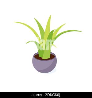 Grüner Kaktus in Topf isometrisch - Topfpflanze für Innendekoration. Stock Vektor