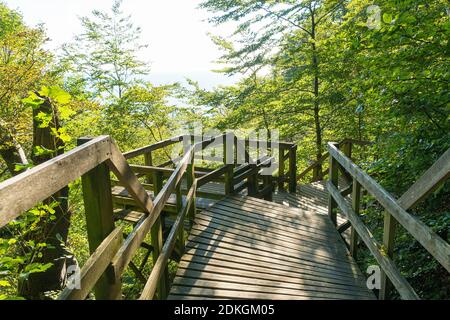 Møns Klint, steile Küste, Wanderweg, Treppe im Geo-Center mit Rastplatz, Bank Stockfoto
