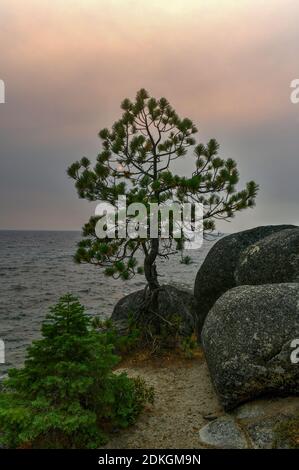 Secret Cove entlang des Lake Tahoe in Nevada mit einem nebligen Himmel aufgrund der nahegelegenen Waldbrände in Kalifornien. Stockfoto