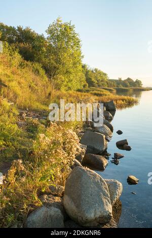 Dänemark, Møn Halbinsel, Ufer von Stege noch mit großen Steinen, Abendlicht Stockfoto