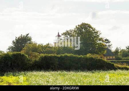 Dänemark, Halbinsel Møn, Landschaft bei Busene, Leuchtturm Møns Fyr Stockfoto