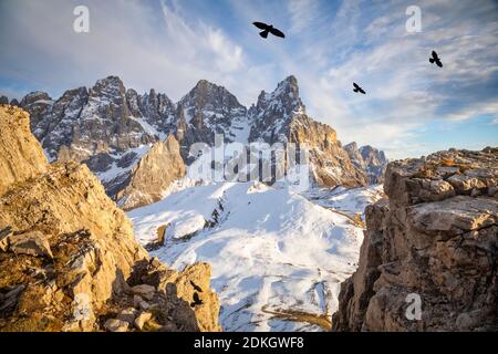 Italien, Trentino, Dolomiten. Pale di San Martino, nördliche Kette mit Cimon della Pala und Cima della Vezzana bei Sonnenuntergang, vom Monte Castellazzo aus gesehen Stockfoto