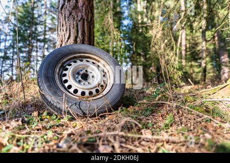 Umwelt verfällt in einem Wald, ein hinterliegener Reifen in der Natur. Stockfoto