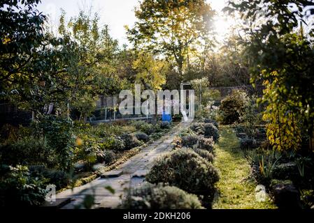Herbstgarten in einem Schrebergartenclub Stockfoto