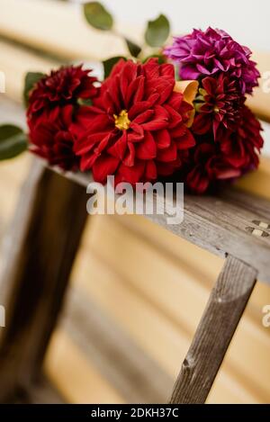 Dahlia Bouquet, Holzleiter, Gartenbank Stockfoto