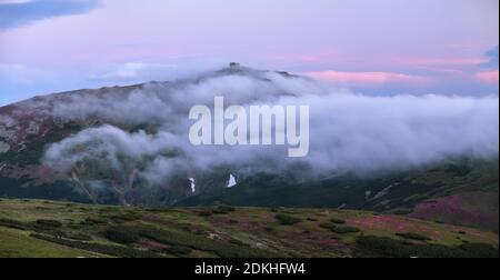 Majestätischer Sonnenaufgang am nebligen Morgen. Panoramablick im Rasen sind von rosa Rhododendronblüten bedeckt. Frühlingslandschaft. Die alte Sternwarte auf dem Gipfel der Stockfoto