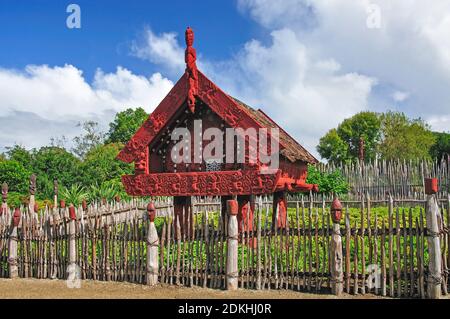 Geschnitzte Maori Lagerhaus, Te Parapara Maori Garten, Hamilton Gardens, Hamilton, Waikato Region, Nordinsel, Neuseeland Stockfoto