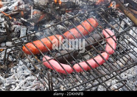Nahaufnahme eines Grills, auf dem einige longanizas, Blutwürste auf einem Grill auf dem Feld gekocht werden Stockfoto
