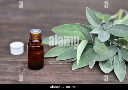 Salvia officinalis Kräuter und Salbei ätherisches Öl in einer Flasche auf einem Holztisch. Stockfoto