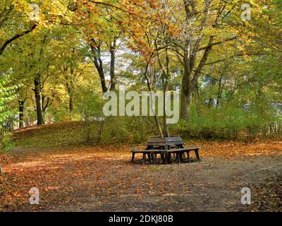 Deutschland, Bayern, Germering, Park Lochholz (in der Nähe des Golfplatzes), Herbst, Laubfarbe, Parkbank um Bäume gebaut Stockfoto