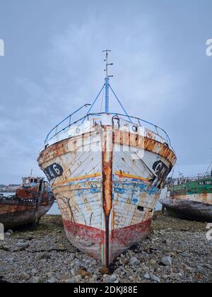 Der Bug eines verfallenden Schiffes auf dem Schiffsfriedhof Camaret-sur-Mer in der Bretagne. Stockfoto