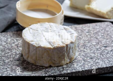 Käsesammlung, Französisch weich Camembert der Normandie Käse aus Kuhmilch in der Region Normandie, Frankreich close up Stockfoto