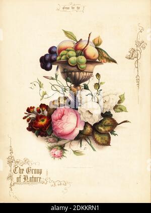 Bouquet von Rosen mit Trauben und Pfirsichen in Vase. Die Gruppe der Natur. Handkolorierte Lithographie mit goldener Kalligraphie von Paul Jerrard aus seiner eigenen Gems for the Drawing Room, Paul Jerrard, 111 Fleet Street, London, 1852. Jerrard war ein viktorianischer Lithograph und Druckfarmer, der in London tätig war. Stockfoto