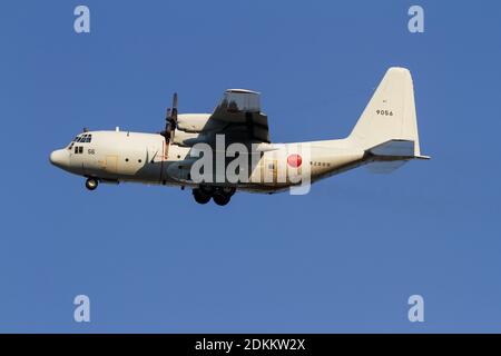 Eine japanische Marine Self Defence Force (JMSDF) Lockheed C-130R Hercules flog in der Nähe der NAF Atsugi Luftwaffenbasis. Kanagawa, Japan. Stockfoto