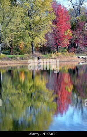 Wayne, Illinois, USA. Ein einziger Fischer schließt sich den umliegenden Bäumen an und projiziert eine Herbstspiegelung in die stillen Gewässer eines Sees. Stockfoto