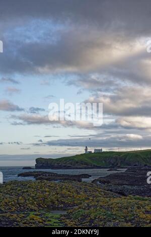 Tod Head Lighthouse und zugehörige Gebäude stehen hoch am Rande der Cliffs, wenn die Sonne untergeht in Catterline an der Ostküste von Schottland. Stockfoto