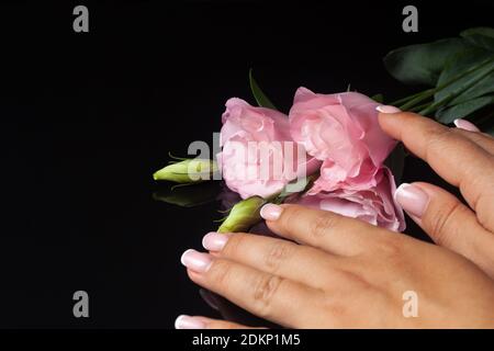 Zwei weibliche Hände auf drei rosa Blüten lisianthus oder eustoma Mit einer ungeöffneten Knospe auf schwarzem Hintergrund Stockfoto