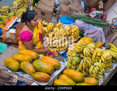 Stadtmarkt Panjim Goa Indien Stockfoto
