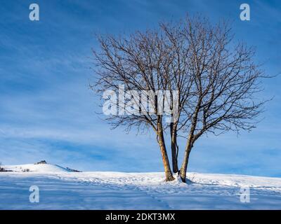 Winterlandschaft in den italienischen Alpen Stockfoto