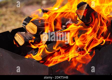 Hell brennendes Lagerfeuer mit roten Flammenzungen aus Birke Brennholz im Grill im Freien Stockfoto