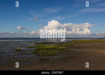 Die Nordsee ist hier ruhig und mit schönen Wolken am Himmel. Ostfriesland, Deutschland Stockfoto