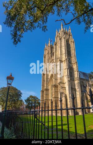 Blick auf Beverley Minster an einem sonnigen Tag, Beverley, North Humberside, East Yorkshire, England, Großbritannien, Europa Stockfoto