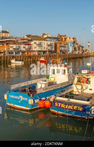 Blick auf Hafenboote und Hafengeschäfte in Bridlington Harbour bei Sonnenuntergang, Bridlington, East Yorkshire, England, Großbritannien, Europa Stockfoto