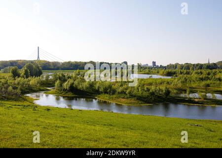 Wesel, Nordrhein-Westfalen, Niederrhein, Deutschland, Lippe, Blick stromabwärts zur renaturierten Aue oberhalb der Lippemüstung in den Rhein am Stockfoto