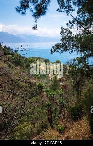 Blick von oben vom Berg durch Grün an der Küste entlang des Atitlan Sees bei Santa Cruz la Laguna, Guatemala Stockfoto
