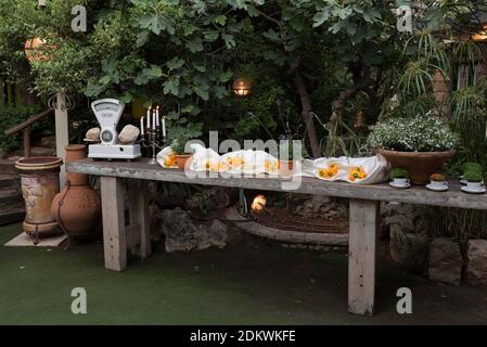 Buffet-Tisch im Garten Stockfoto