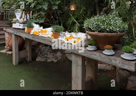 Buffet-Tisch im Garten Stockfoto