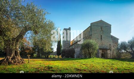 Sant Antimo Abtei am Morgen, Oliven-und Zypressen. Montalcino. Toskana, Italien Stockfoto