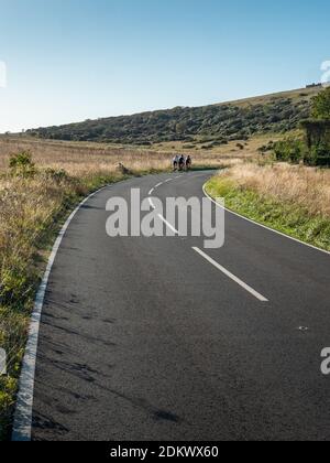 Radfahren auf den South Downs, England. Eine Gruppe von Straßenradfahrern trainiert auf den ruhigen Straßen der South Downs, East Sussex, England. Stockfoto