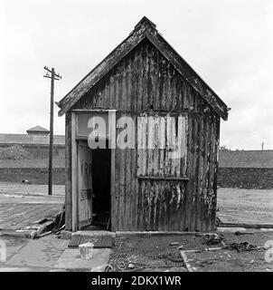 Großbritannien, London, Docklands, Isle of Dogs, Schiffsdocks, Anfang 1974. Eine verfallene Hütte mit IRA-Graffiti an der Tür. Westindien Docks. Stockfoto