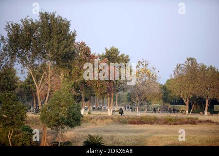 (201216) -- ISLAMABAD, 16. Dezember 2020 (Xinhua) -- das Foto vom 15. Dezember 2020 zeigt den Blick auf den Fatima Jinnah Park in Islamabad, der Hauptstadt Pakistans. (Xinhua/Ahmad Kamal) Stockfoto