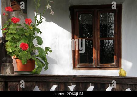 Vrancea County, Rumänien. Holzrahmenfenster eines alten traditionellen Hauses. Topfblumen auf der hölzernen Veranda. Stockfoto