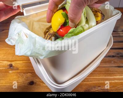 Closeup of a man’s hand placing fruit and vegetable waste in a small plastic kitchen composting bin, fitted with a biodegradable / compostable bag. Stock Photo